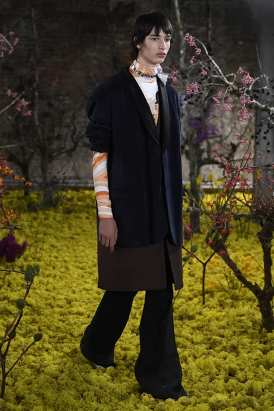 Look 52
